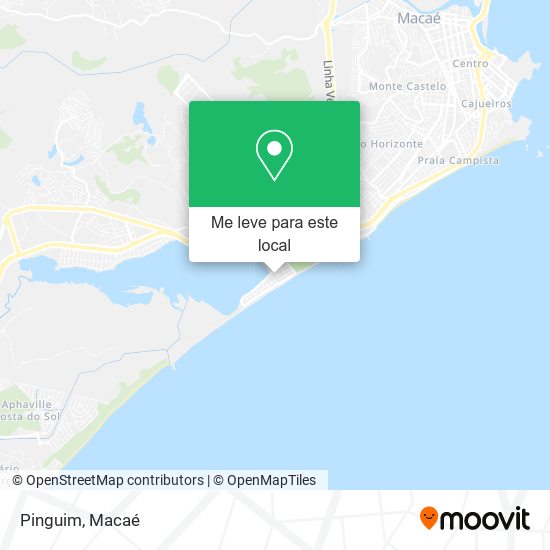 Pinguim mapa
