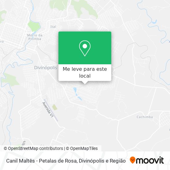 Canil Maltês - Petalas de Rosa mapa