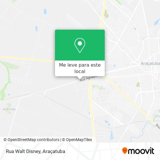 Rua Walt Disney mapa