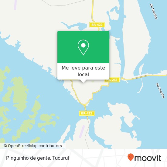 Pinguinho de gente mapa