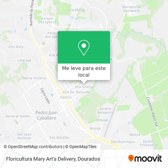 Floricultura Mary Art's Delivery mapa