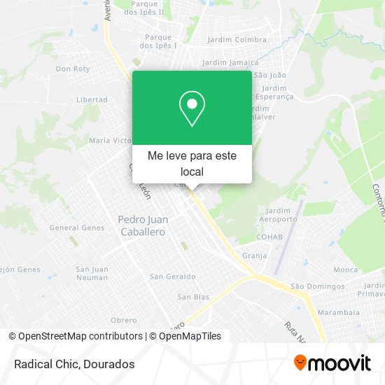 Radical Chic mapa