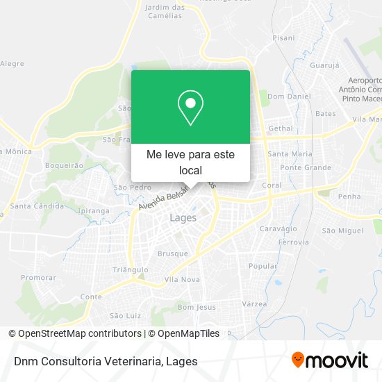 Dnm Consultoria Veterinaria mapa