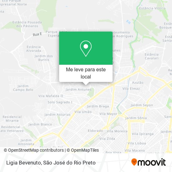 Ligia Bevenuto mapa
