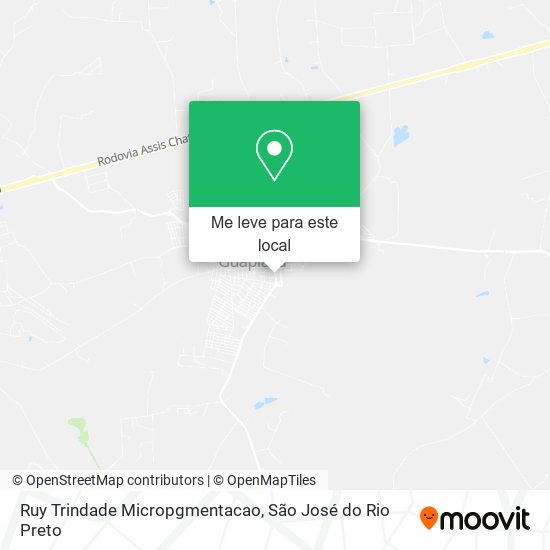 Ruy Trindade Micropgmentacao mapa