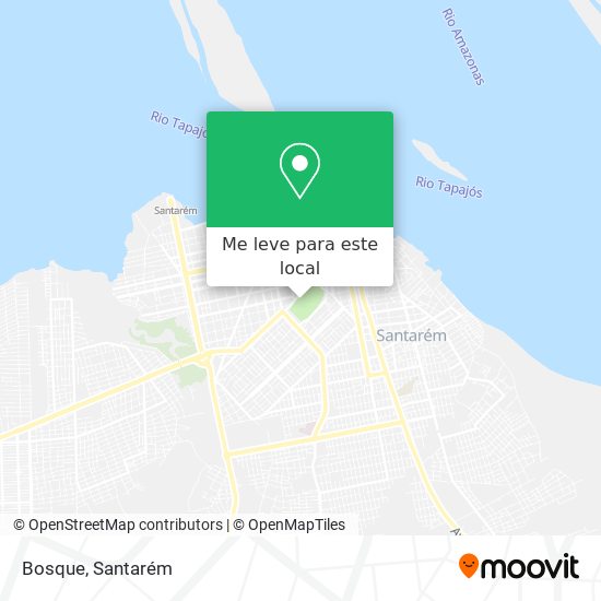 Bosque mapa