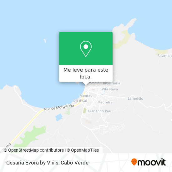 Cesária Evora by Vhils mapa