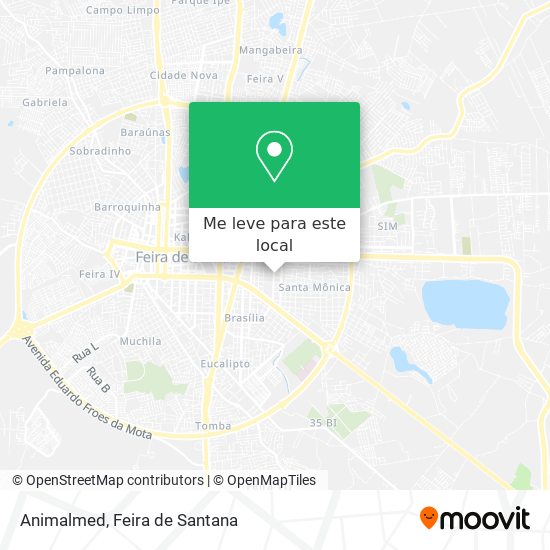 Animalmed mapa
