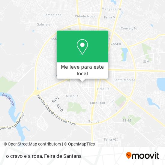 o cravo e a rosa mapa