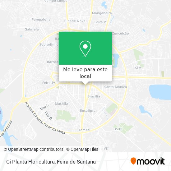 Ci Planta Floricultura mapa