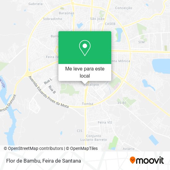 Flor de Bambu mapa