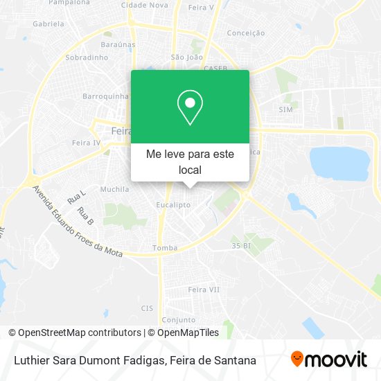 Luthier Sara Dumont Fadigas mapa