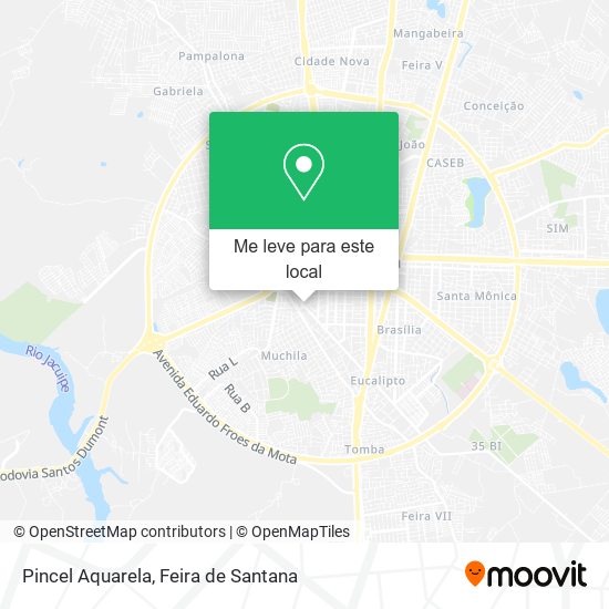 Pincel Aquarela mapa