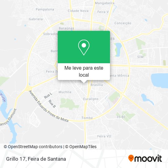 Grillo 17 mapa