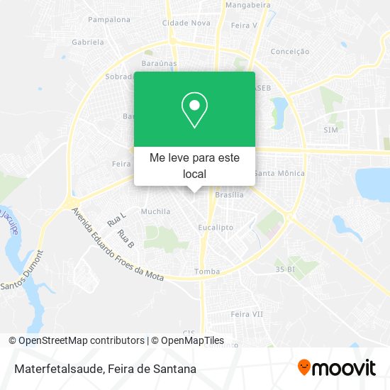 Materfetalsaude mapa