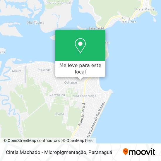 Cintia Machado - Micropigmentação mapa