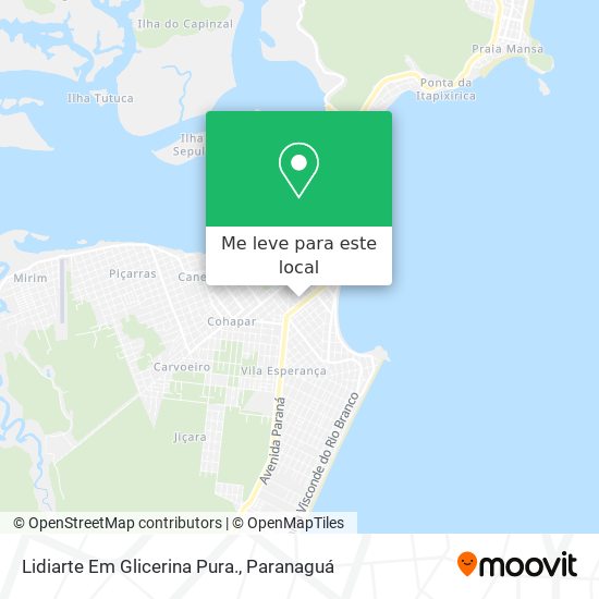 Lidiarte Em Glicerina Pura. mapa