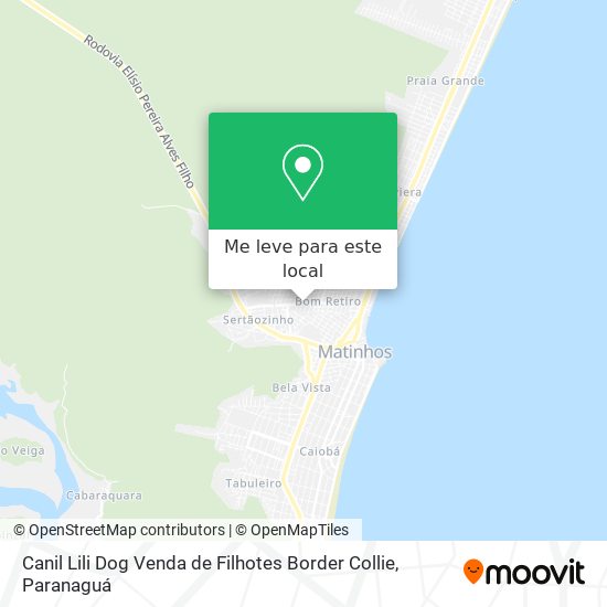 Canil Lili Dog Venda de Filhotes Border Collie mapa