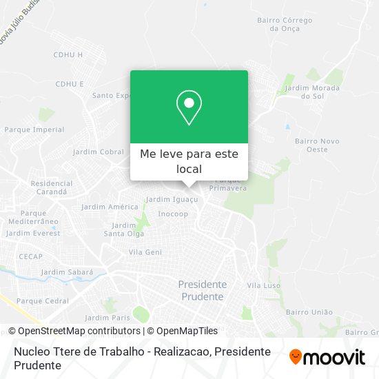 Nucleo Ttere de Trabalho - Realizacao mapa