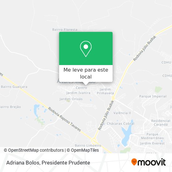 Adriana Bolos mapa