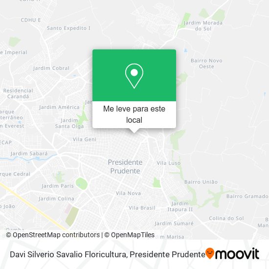 Davi Silverio Savalio Floricultura mapa