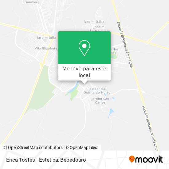 Erica Tostes - Estetica mapa