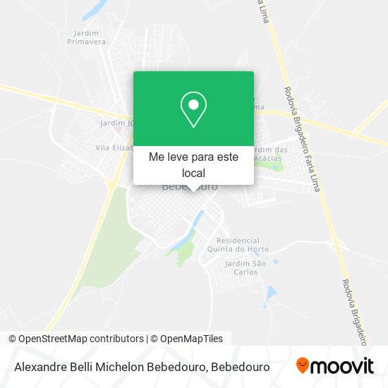 Alexandre Belli Michelon Bebedouro mapa