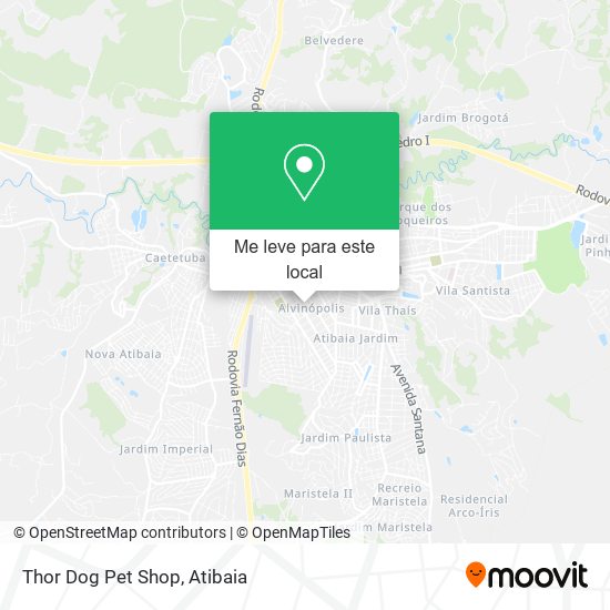 Thor Dog Pet Shop mapa