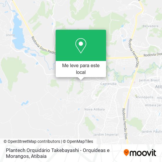 Plantech Orquidário Takebayashi - Orquídeas e Morangos mapa