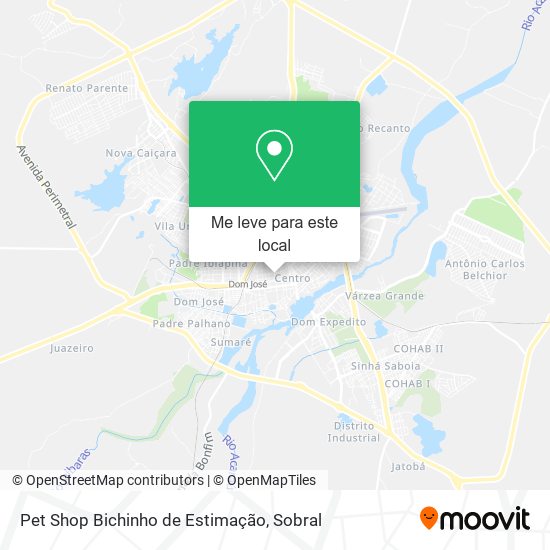 Pet Shop Bichinho de Estimação mapa