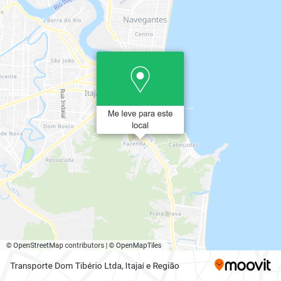 Transporte Dom Tibério Ltda mapa
