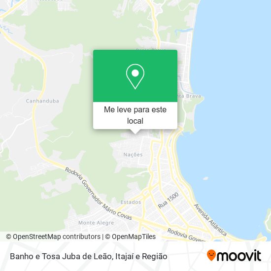 Banho e Tosa Juba de Leão mapa