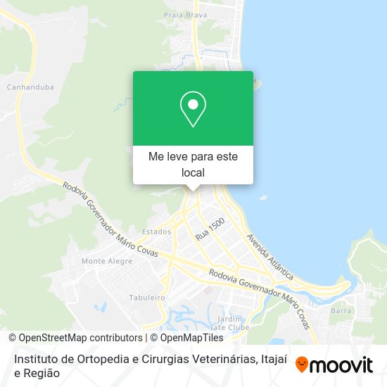 Instituto de Ortopedia e Cirurgias Veterinárias mapa