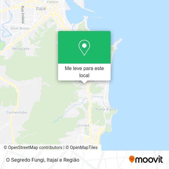 O Segredo Fungi mapa