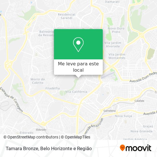 Tamara Bronze mapa