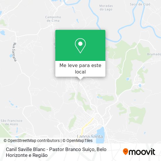 Canil Saville Blanc - Pastor Branco Suíço mapa