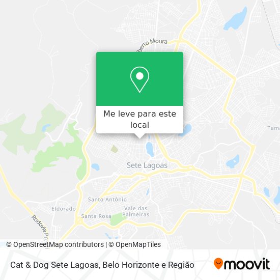 Cat & Dog Sete Lagoas mapa