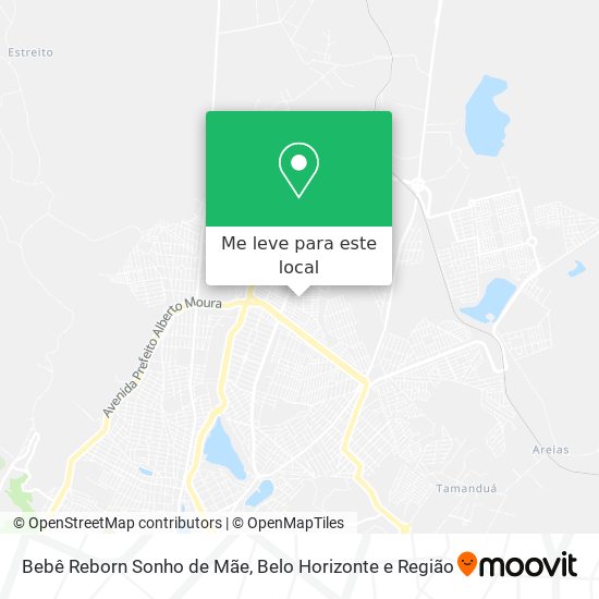 Bebê Reborn Sonho de Mãe mapa