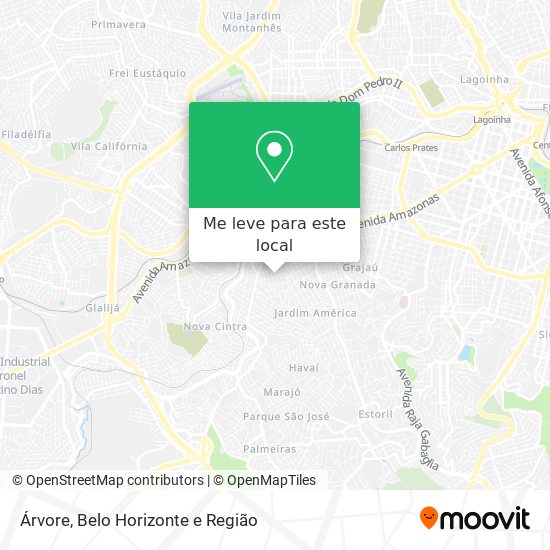 Árvore mapa