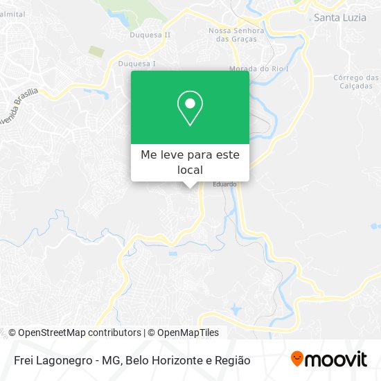 Frei Lagonegro - MG mapa