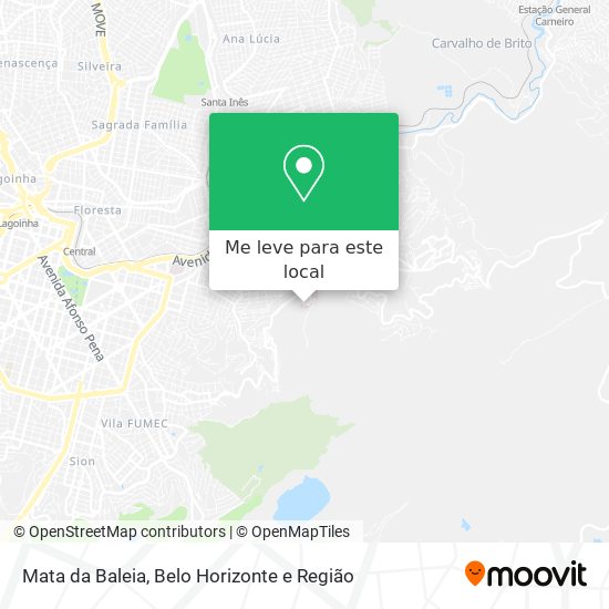 Mata da Baleia mapa