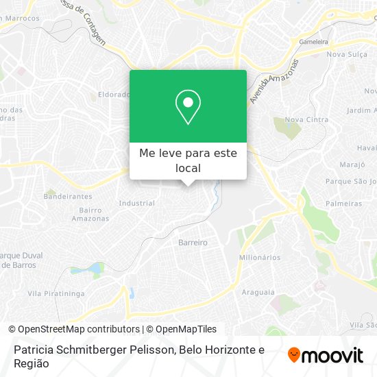 Patricia Schmitberger Pelisson mapa