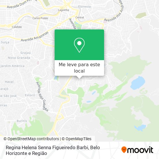 Regina Helena Senna Figueiredo Barbi mapa