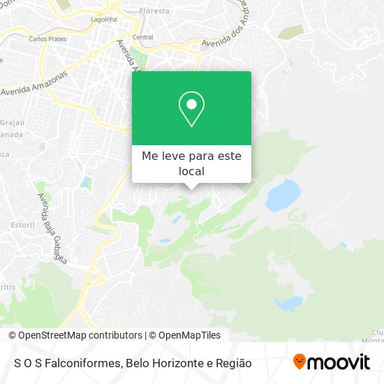 S O S Falconiformes mapa