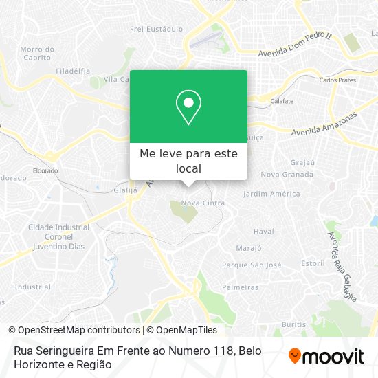 Rua Seringueira Em Frente ao Numero 118 mapa
