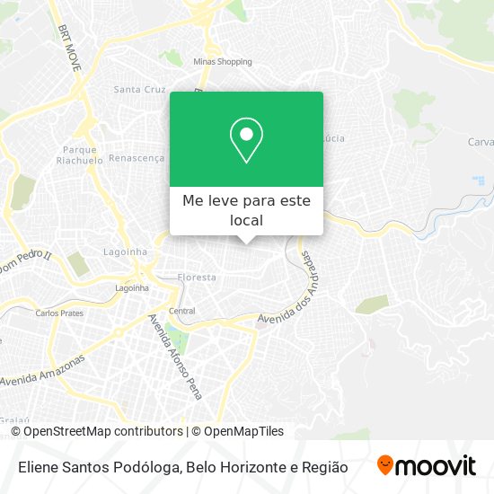 Eliene Santos Podóloga mapa