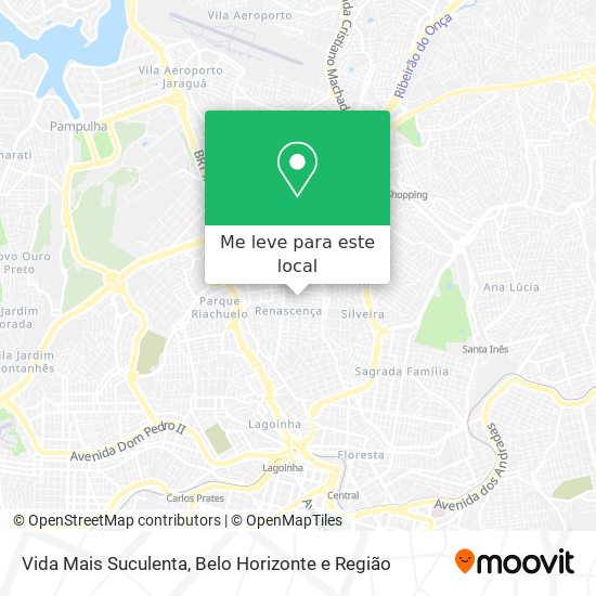 Vida Mais Suculenta mapa