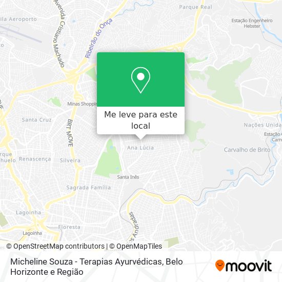 Micheline Souza - Terapias Ayurvédicas mapa