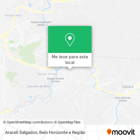 Araceli Salgados mapa