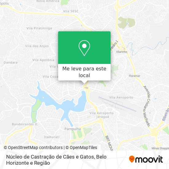 Núcleo de Castração de Cães e Gatos mapa